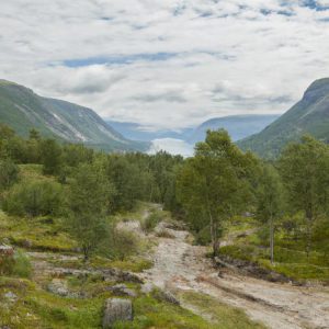 zarobek w norwegii